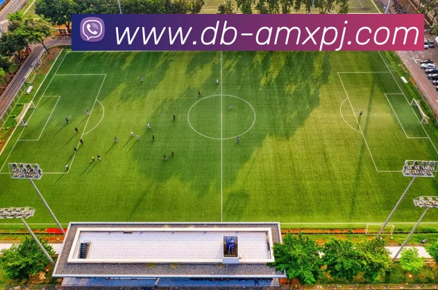 新葡京娱乐服务体系